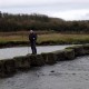 Crossing the Afon Braint: The stepping stones