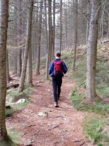 Navigating on forest tracks