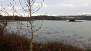The Menai Suspension Bridge in the distance