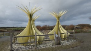 Marram Grass Sculptures, Llyn Rhos Ddu, Anglesey